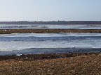 image/_roskilde_fjord-450.jpg
