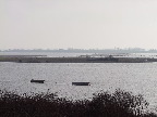 image/_roskilde_fjord-456.jpg