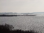 image/_roskilde_fjord-457.jpg