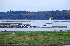 image/_roskilde_fjord-4585.jpg