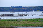 image/_roskilde_fjord-4586.jpg
