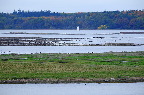 image/_roskilde_fjord-4587.jpg