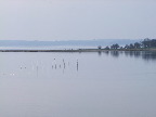 image/_roskilde_fjord-459.jpg