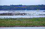 image/_roskilde_fjord-4590.jpg