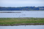 image/_roskilde_fjord-4591.jpg