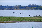 image/_roskilde_fjord-4592.jpg