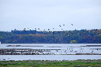image/_roskilde_fjord-4595.jpg