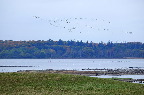 image/_roskilde_fjord-4596.jpg