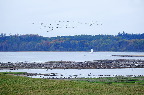 image/_roskilde_fjord-4597.jpg