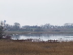 image/_roskilde_fjord-462.jpg