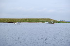 image/_roskilde_fjord-4626.jpg