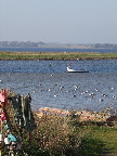 image/_roskilde_fjord-463.jpg