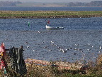 image/_roskilde_fjord-465.jpg