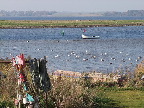 image/_roskilde_fjord-466.jpg