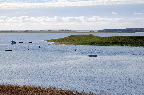 image/_roskilde_fjord-4671.jpg