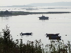 image/_roskilde_fjord-468.jpg