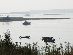 image/_roskilde_fjord-469.jpg