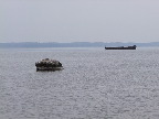 image/_roskilde_fjord-471.jpg