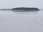 image/_roskilde_fjord-472.jpg