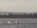 image/_roskilde_fjord-474.jpg