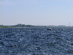 image/_roskilde_fjord-475.jpg