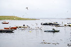 image/_roskilde_fjord-4753.jpg