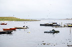 image/_roskilde_fjord-4754.jpg