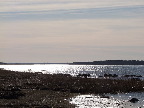 image/_roskilde_fjord-481.jpg