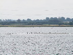image/_roskilde_fjord-518.jpg