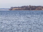 image/_roskilde_fjord-523.jpg