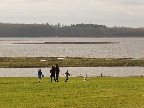 image/_roskilde_fjord-5277.jpg