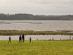 image/_roskilde_fjord-5278.jpg