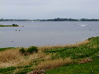 image/_roskilde_fjord-534.jpg