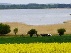 image/_roskilde_fjord-537.jpg