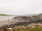 image/_roskilde_fjord-5439.jpg