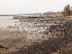 image/_roskilde_fjord-5441.jpg