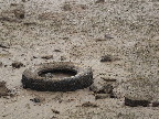 image/_roskilde_fjord-5442.jpg