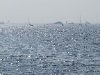 image/_roskilde_fjord-547.jpg