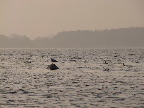 image/_roskilde_fjord-548.jpg