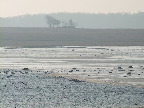 image/_roskilde_fjord-554.jpg