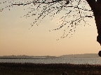 image/_roskilde_fjord-555.jpg