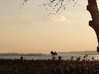 image/_roskilde_fjord-556.jpg