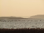 image/_roskilde_fjord-557.jpg