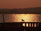 image/_roskilde_fjord-559.jpg