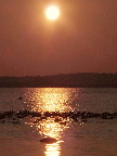 image/_roskilde_fjord-561.jpg