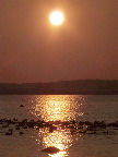 image/_roskilde_fjord-563.jpg