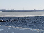 image/_roskilde_fjord-568.jpg