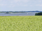 image/_roskilde_fjord-569.jpg