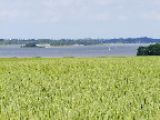 image/_roskilde_fjord-570.jpg