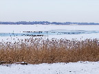 image/_roskilde_fjord-574.jpg
